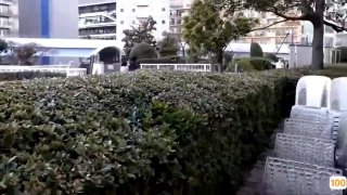 骑木驴刑还是在卫生间用假鸡巴自己插
